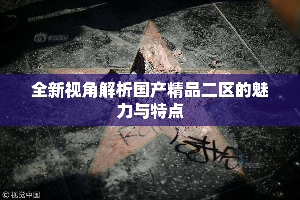 全新视角解析国产精品二区的魅力与特点