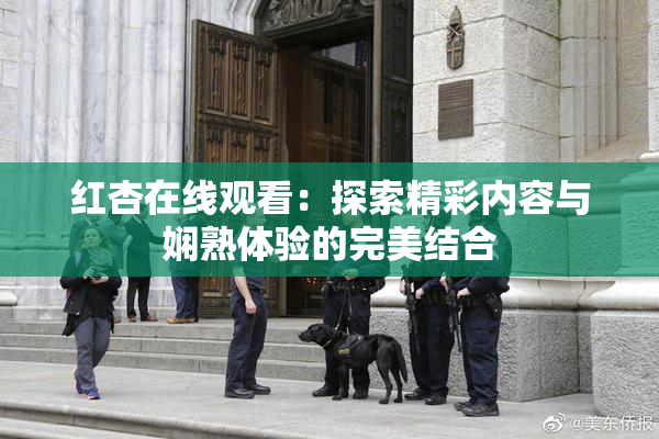 红杏在线观看：探索精彩内容与娴熟体验的完美结合