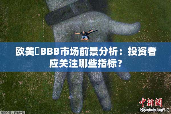 欧美槡BBB市场前景分析：投资者应关注哪些指标？