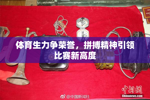体育生力争荣誉，拼搏精神引领比赛新高度