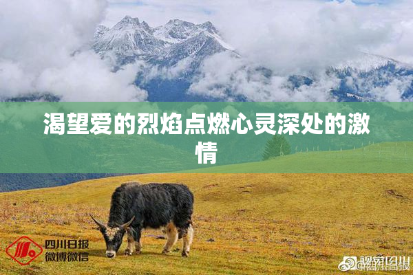 渴望爱的烈焰点燃心灵深处的激情