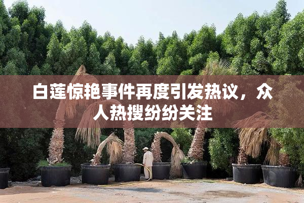 白莲惊艳事件再度引发热议，众人热搜纷纷关注