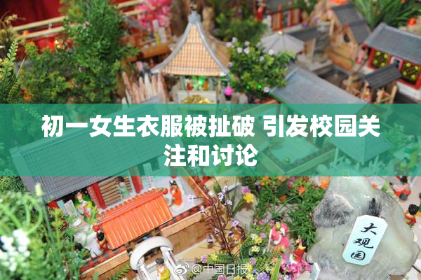 初一女生衣服被扯破 引发校园关注和讨论