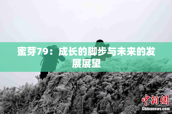 蜜芽79：成长的脚步与未来的发展展望
