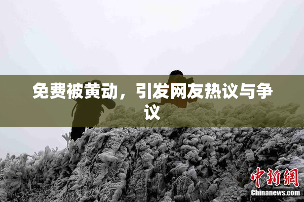 免费被黄动，引发网友热议与争议