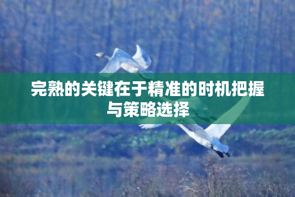 完熟的关键在于精准的时机把握与策略选择