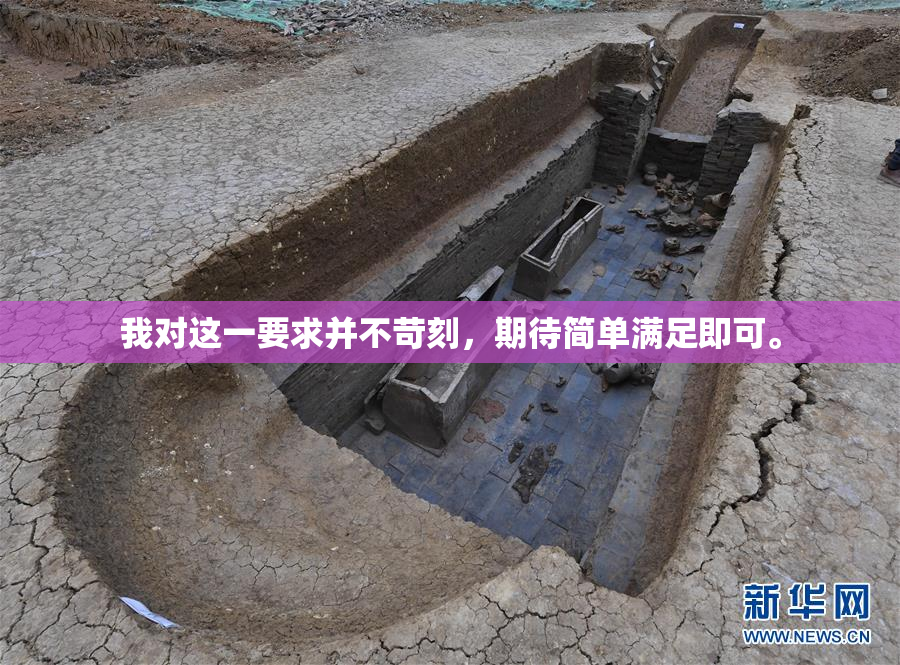 我对这一要求并不苛刻，期待简单满足即可。