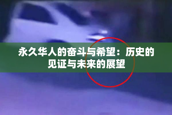 永久华人的奋斗与希望：历史的见证与未来的展望