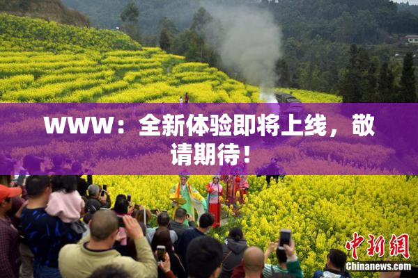 WWW：全新体验即将上线，敬请期待！