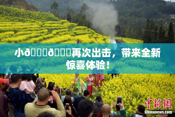小🐔🐔再次出击，带来全新惊喜体验！