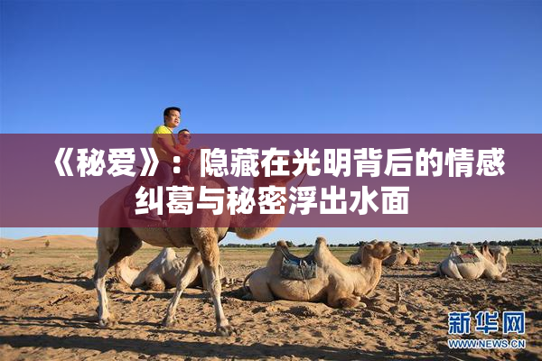 《秘爱》：隐藏在光明背后的情感纠葛与秘密浮出水面