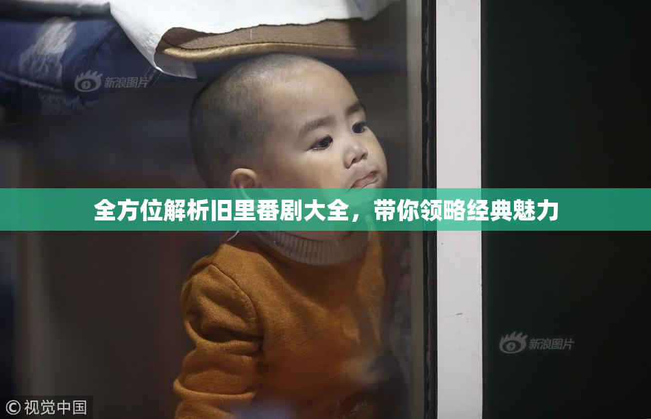 全方位解析旧里番剧大全，带你领略经典魅力