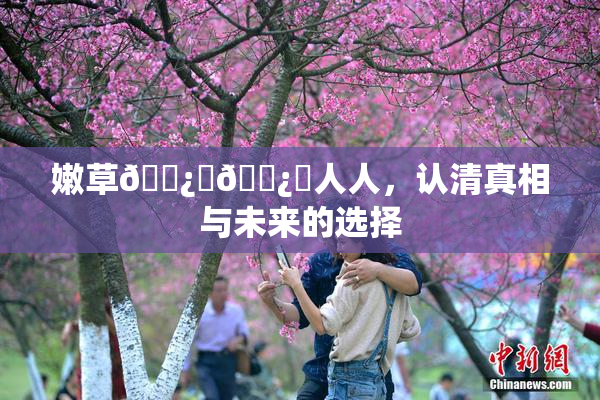 嫩草🌿‌🌿‌人人，认清真相与未来的选择