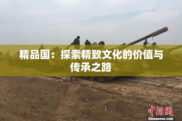 精品国：探索精致文化的价值与传承之路