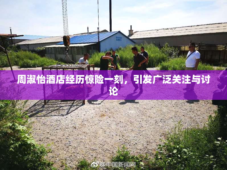 周淑怡酒店经历惊险一刻，引发广泛关注与讨论