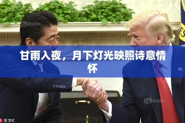 甘雨入夜，月下灯光映照诗意情怀