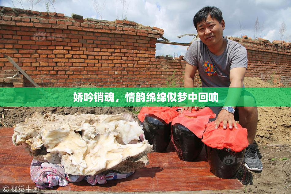 娇吟销魂，情韵绵绵似梦中回响