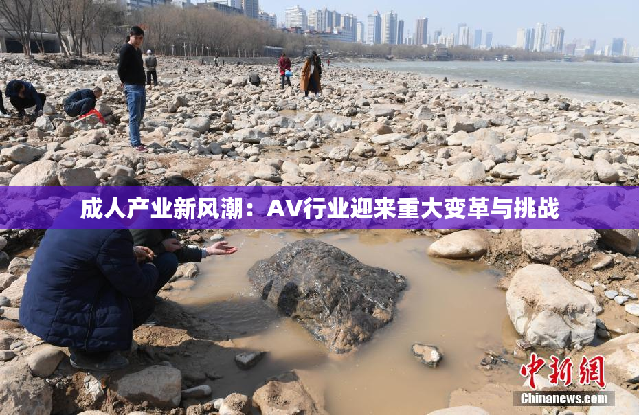 成人产业新风潮：AV行业迎来重大变革与挑战