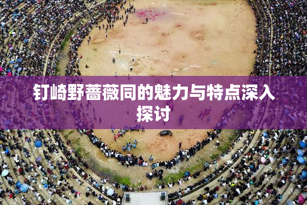 钉崎野蔷薇同的魅力与特点深入探讨