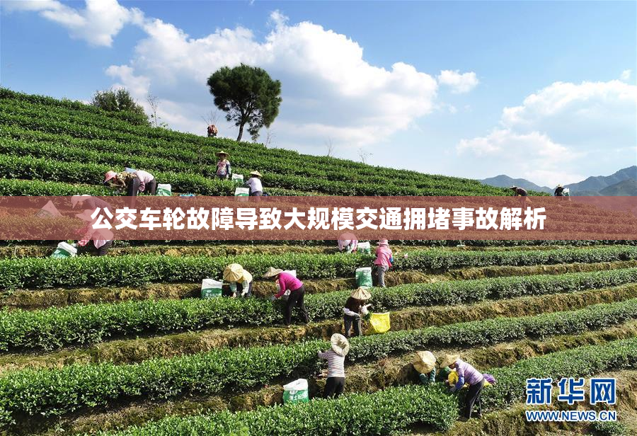 公交车轮故障导致大规模交通拥堵事故解析