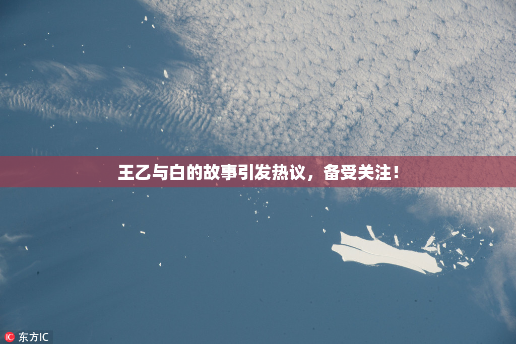 王乙与白的故事引发热议，备受关注！