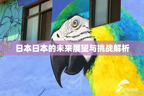 日本日本的未来展望与挑战解析