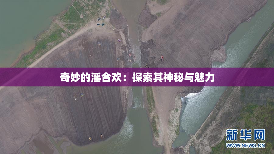 奇妙的淫合欢：探索其神秘与魅力