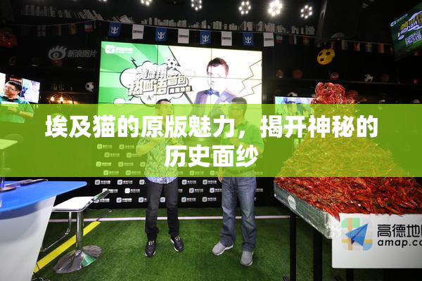 埃及猫的原版魅力，揭开神秘的历史面纱