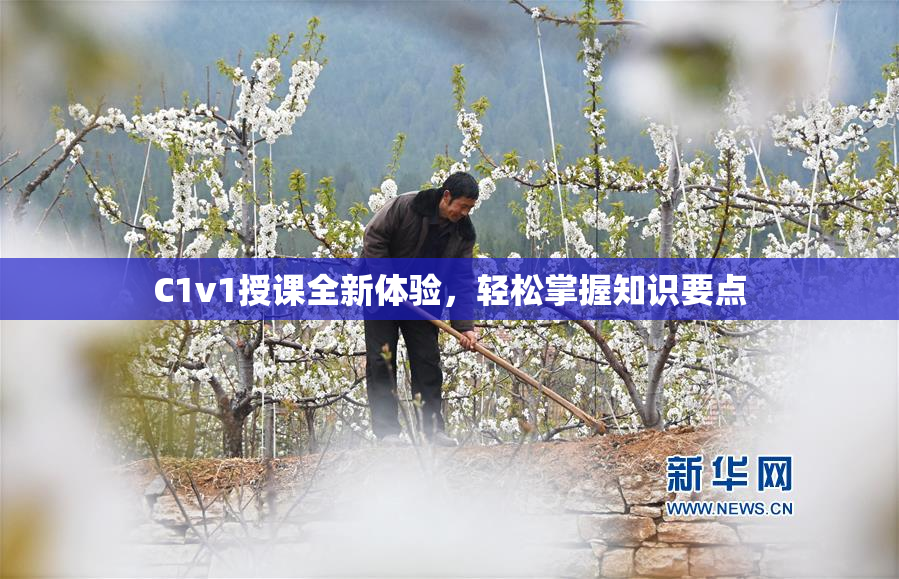 C1v1授课全新体验，轻松掌握知识要点