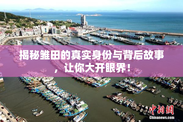 揭秘雏田的真实身份与背后故事，让你大开眼界！