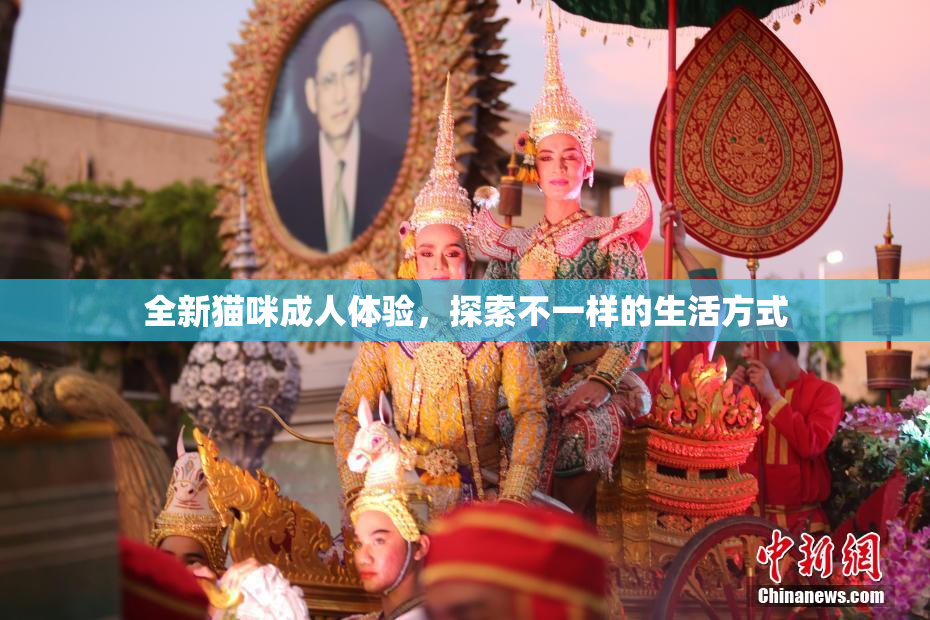 全新猫咪成人体验，探索不一样的生活方式