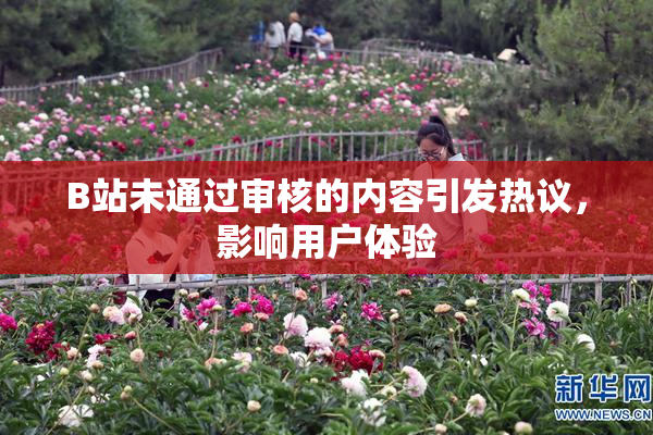 B站未通过审核的内容引发热议，影响用户体验