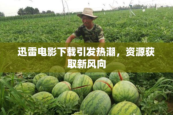 迅雷电影下载引发热潮，资源获取新风向