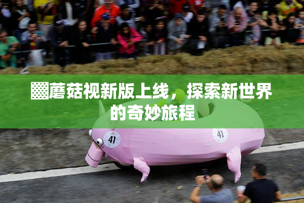 ▓蘑菇视新版上线，探索新世界的奇妙旅程