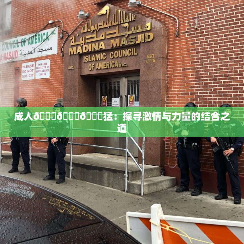 成人🍆🍑🔞猛：探寻激情与力量的结合之道