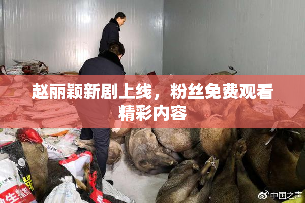 赵丽颖新剧上线，粉丝免费观看精彩内容