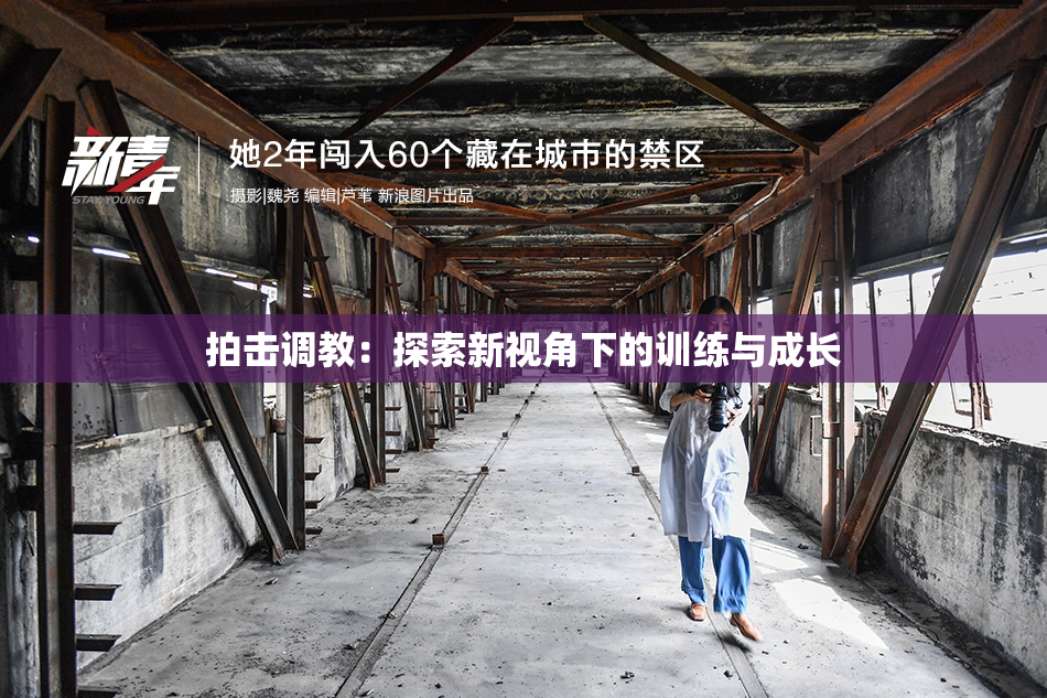 拍击调教：探索新视角下的训练与成长