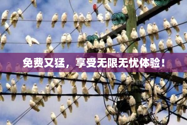 免费又猛，享受无限无忧体验！