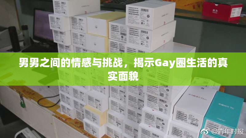 男男之间的情感与挑战，揭示Gay圈生活的真实面貌
