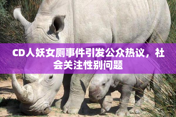 CD人妖女厕事件引发公众热议，社会关注性别问题