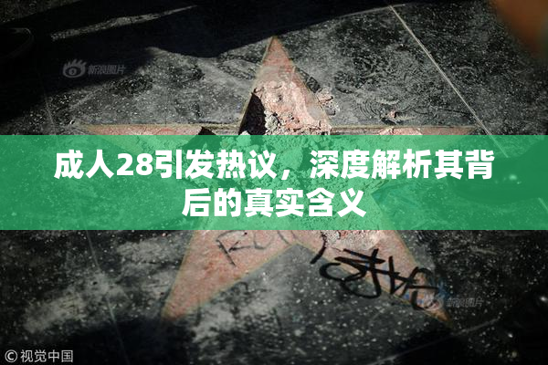 成人28引发热议，深度解析其背后的真实含义