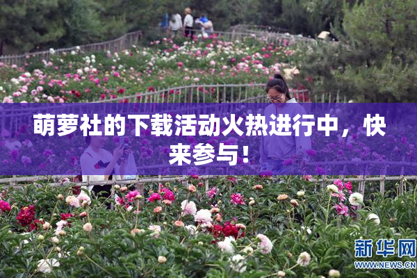 萌萝社的下载活动火热进行中，快来参与！