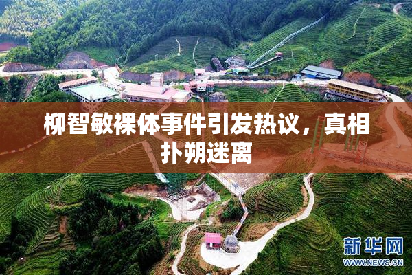 柳智敏裸体事件引发热议，真相扑朔迷离