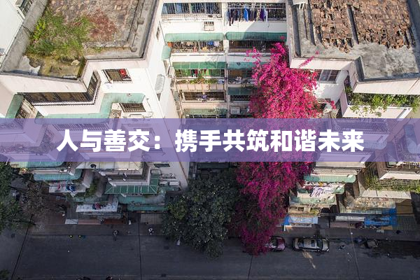 人与善交：携手共筑和谐未来