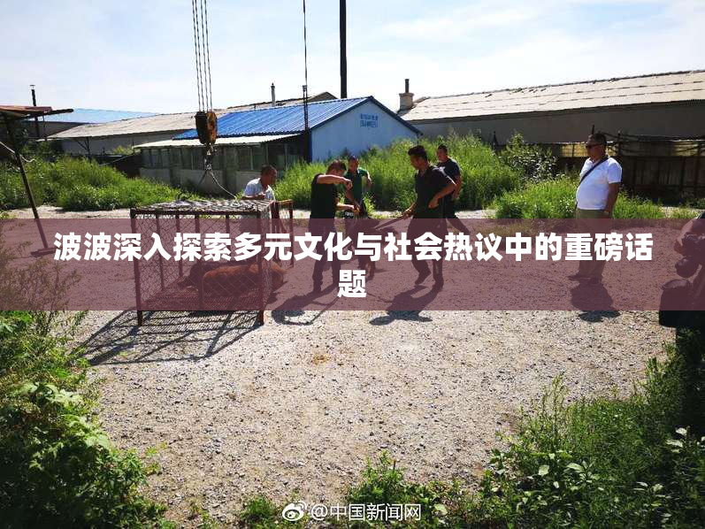 波波深入探索多元文化与社会热议中的重磅话题