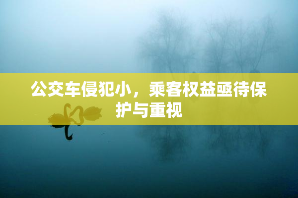 公交车侵犯小，乘客权益亟待保护与重视