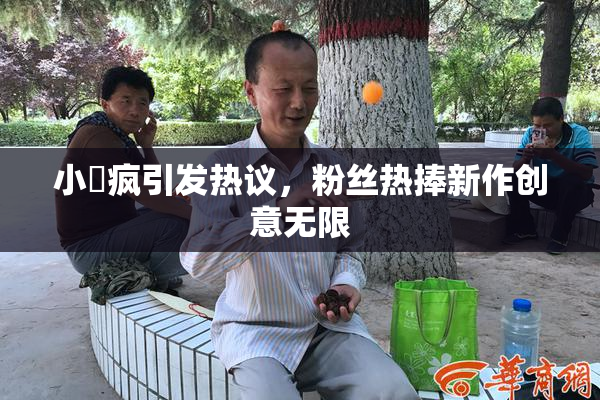 小泬疯引发热议，粉丝热捧新作创意无限