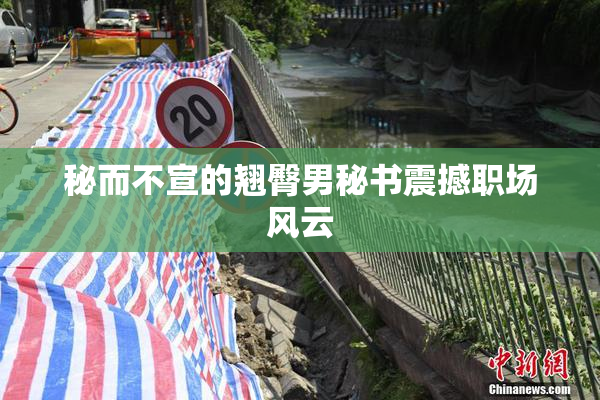 秘而不宣的翘臀男秘书震撼职场风云