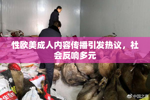 性欧美成人内容传播引发热议，社会反响多元