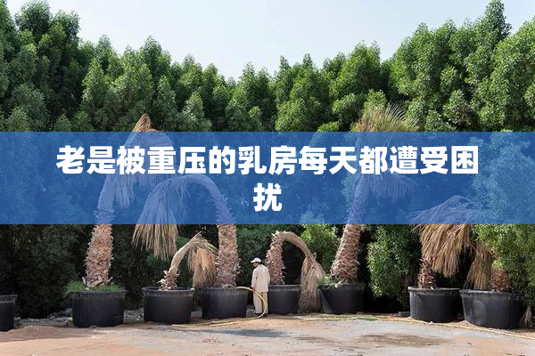 老是被重压的乳房每天都遭受困扰